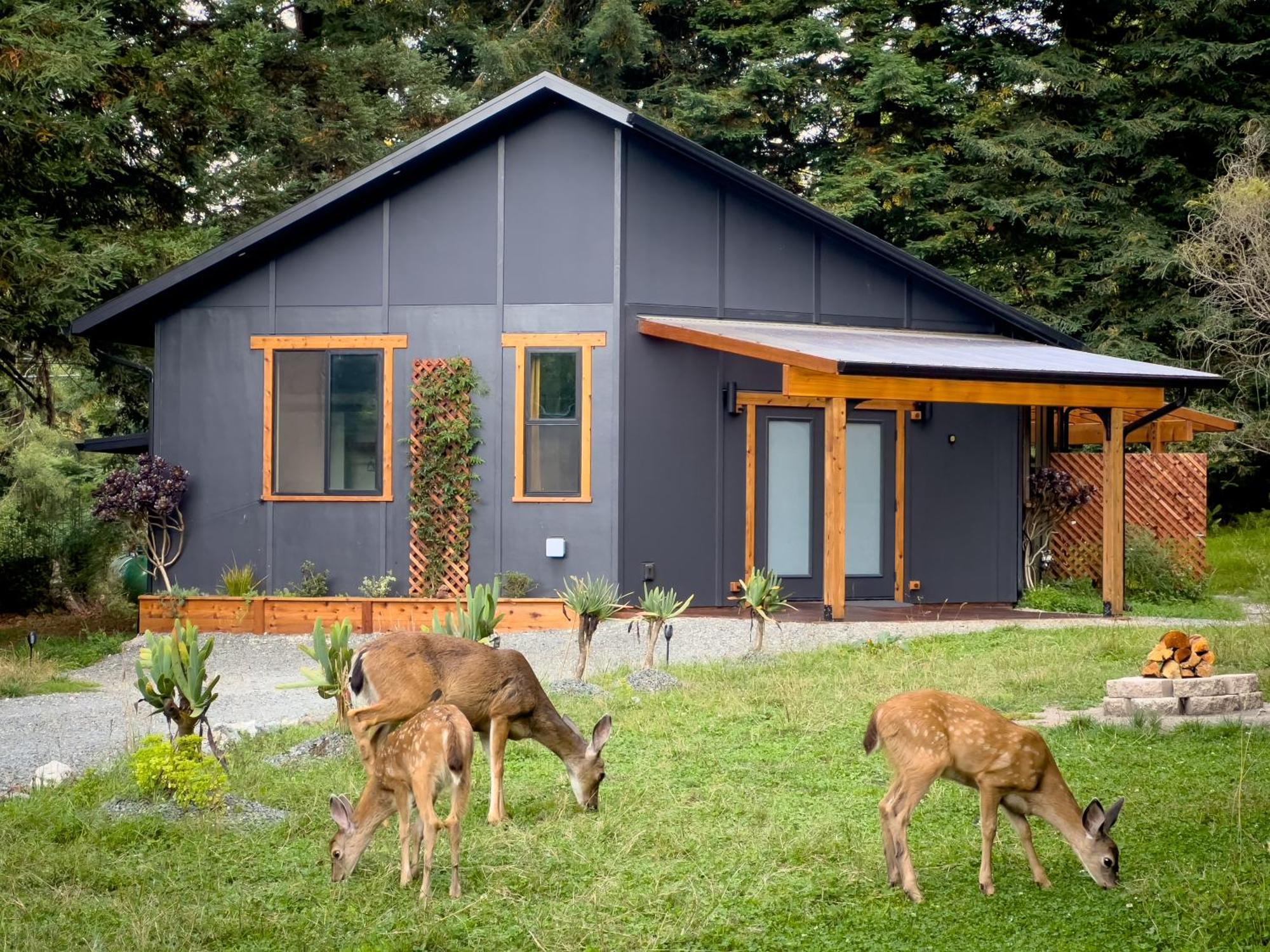 New, Modern, Country-Feel, Close To アーケータ エクステリア 写真